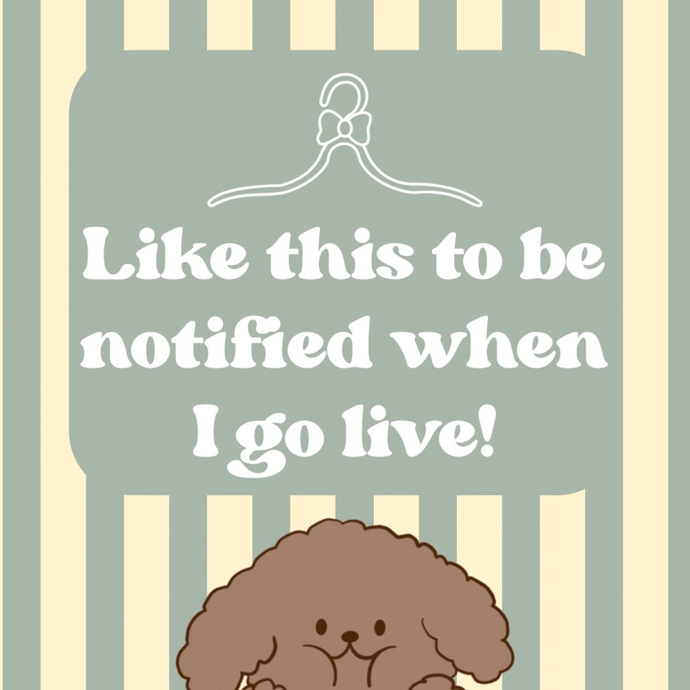 ✨LIVE SHOW✨